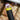 ZAPOTRON -  P102 - 200W